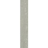 Ash Grey Polished 900x150