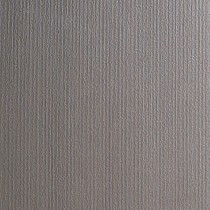 Coco Steam 300x300